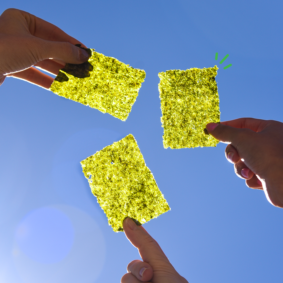 Hands holding seaweed sheets against the blue sky.