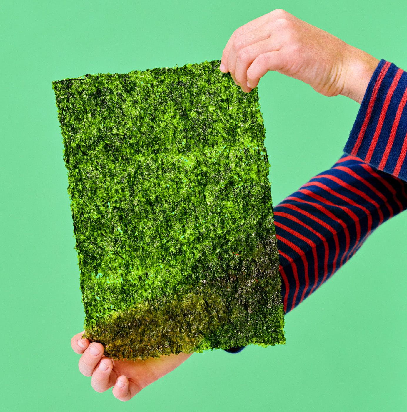 A person holding a large rectangular sheet of green seaweed with both hands against a solid green background.