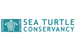 Logo of Sea Turtle Conservancy featuring a stylized turtle inside a square on the left and the text "SEA TURTLE CONSERVANCY" on the right, both in teal.