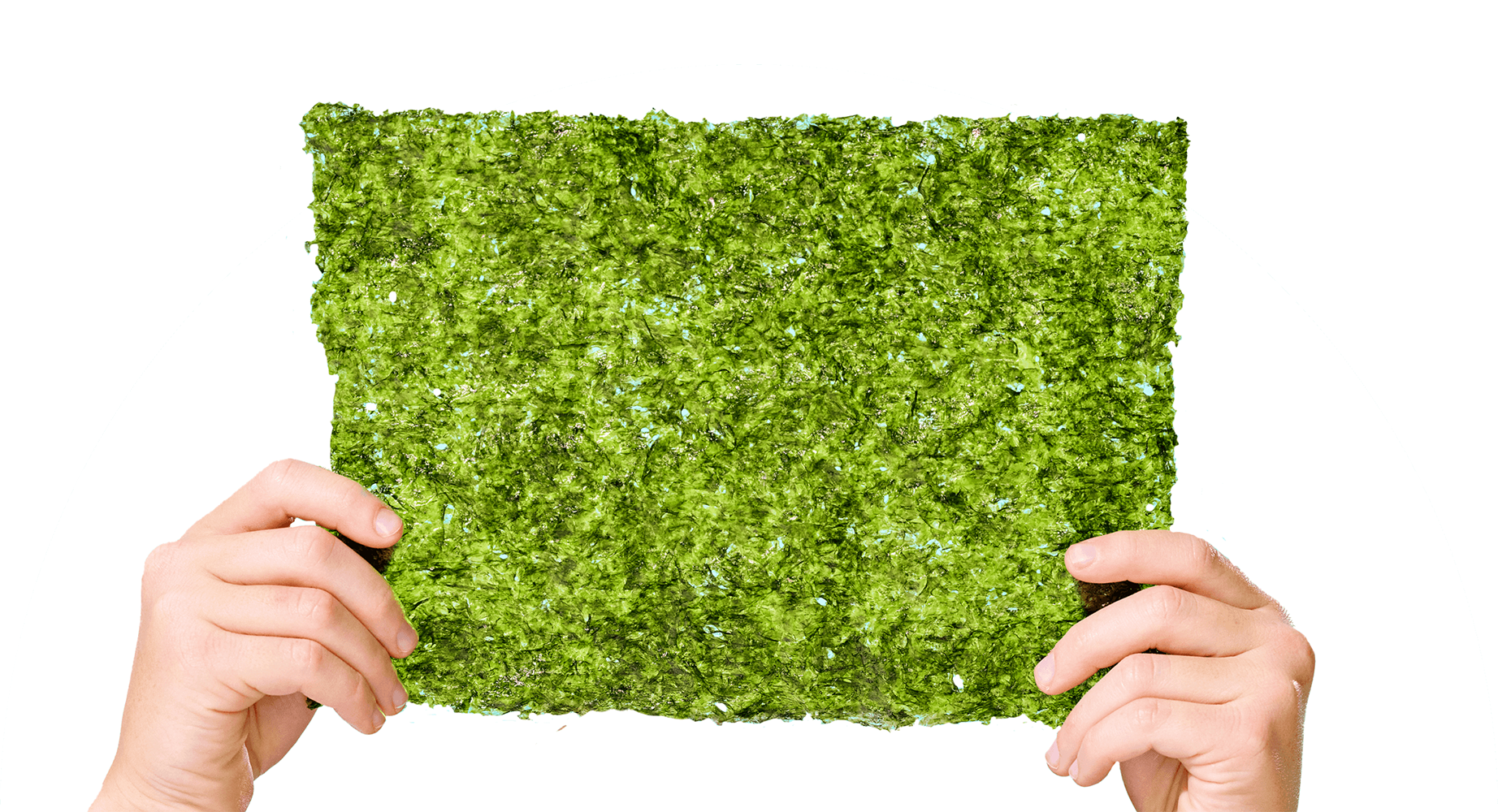 Two hands holding a sheet of seaweed