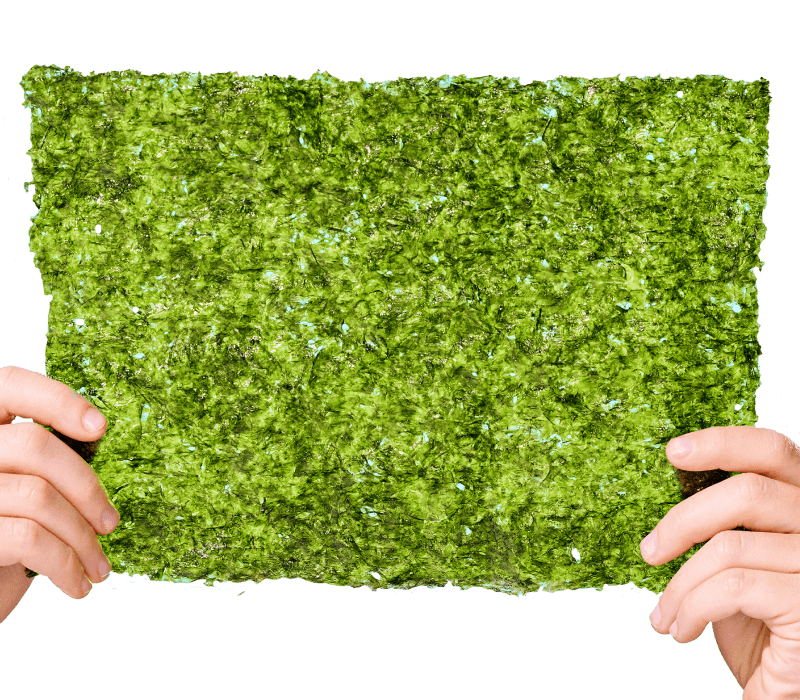 Two hands holding a sheet of seaweed