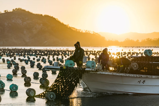 Earth Day: Water-saving seaweed snacks, ADM pledges forest protection, no waste smoothies