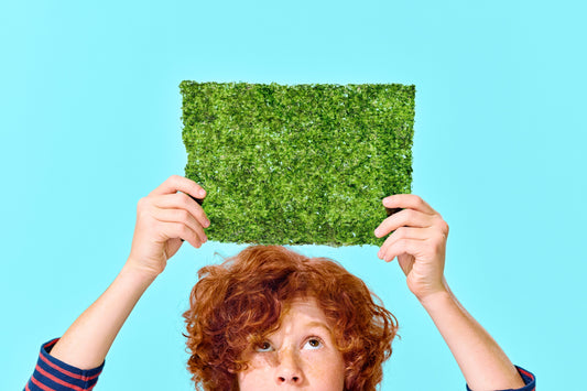 Image of person holding a Big sheet of seaweed.