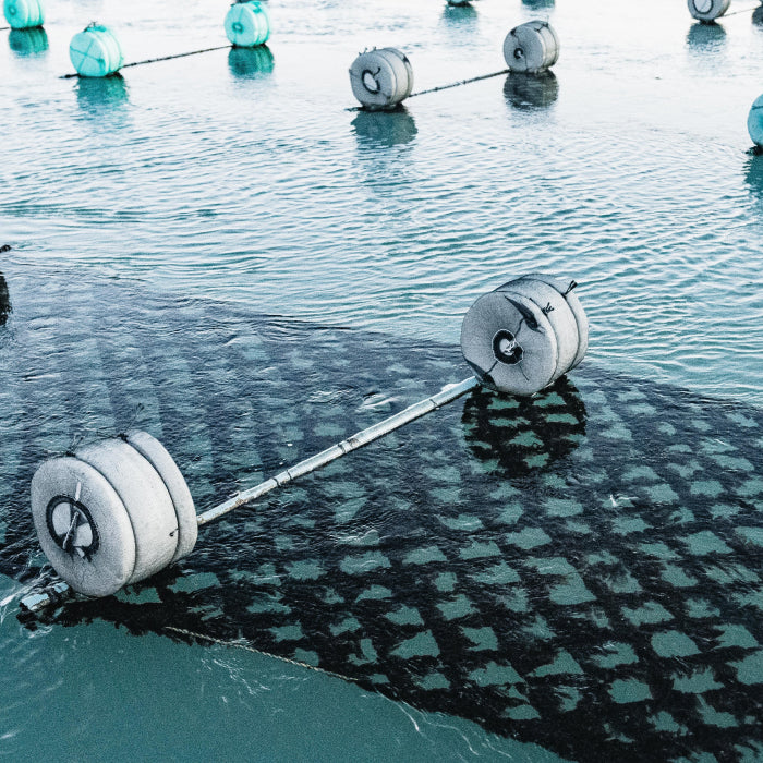 Floating offshore platform with buoys and barbell-like equipment submerged in water.