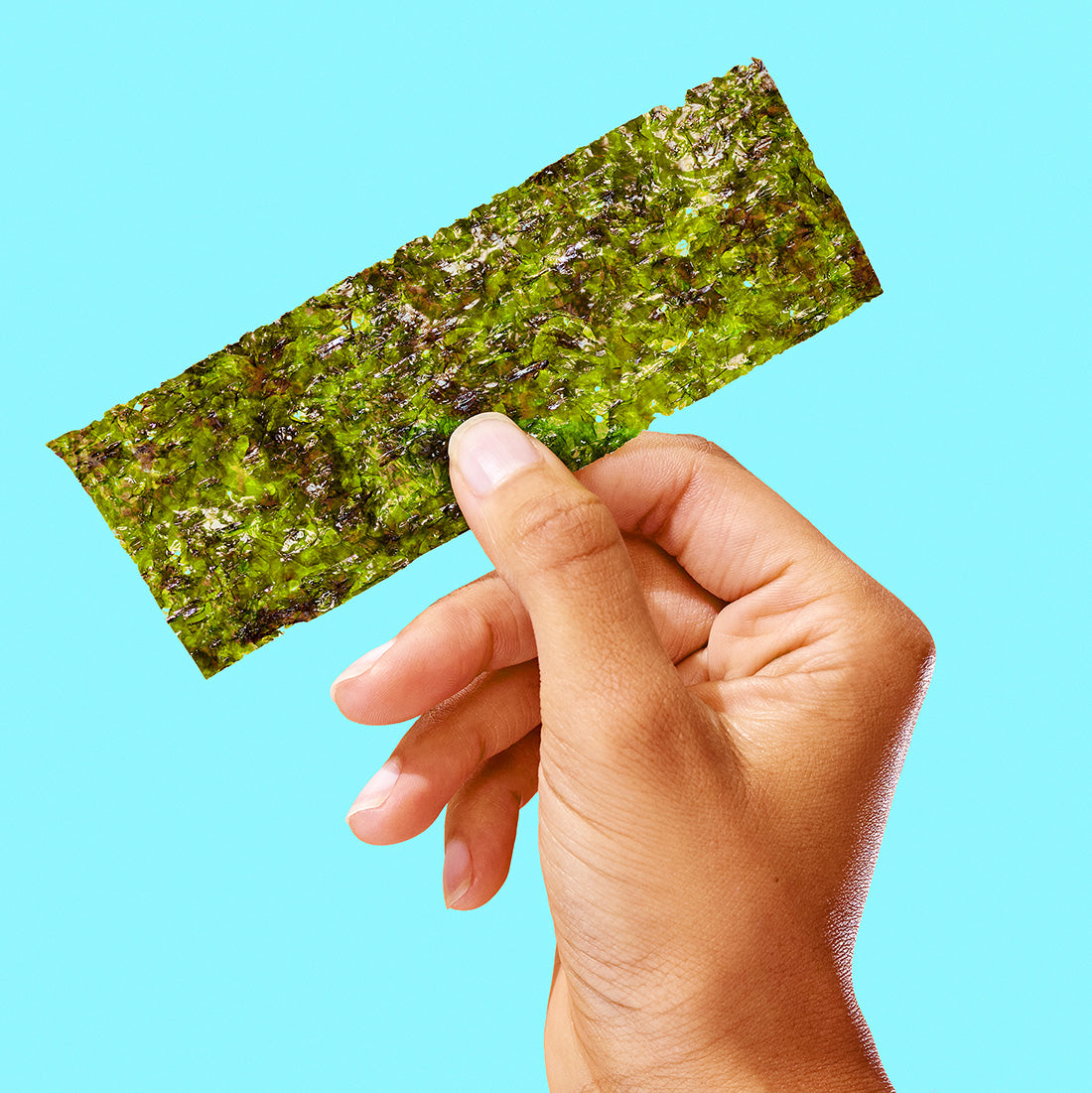 A hand holding a rectangular piece of green seaweed against a solid light blue background.